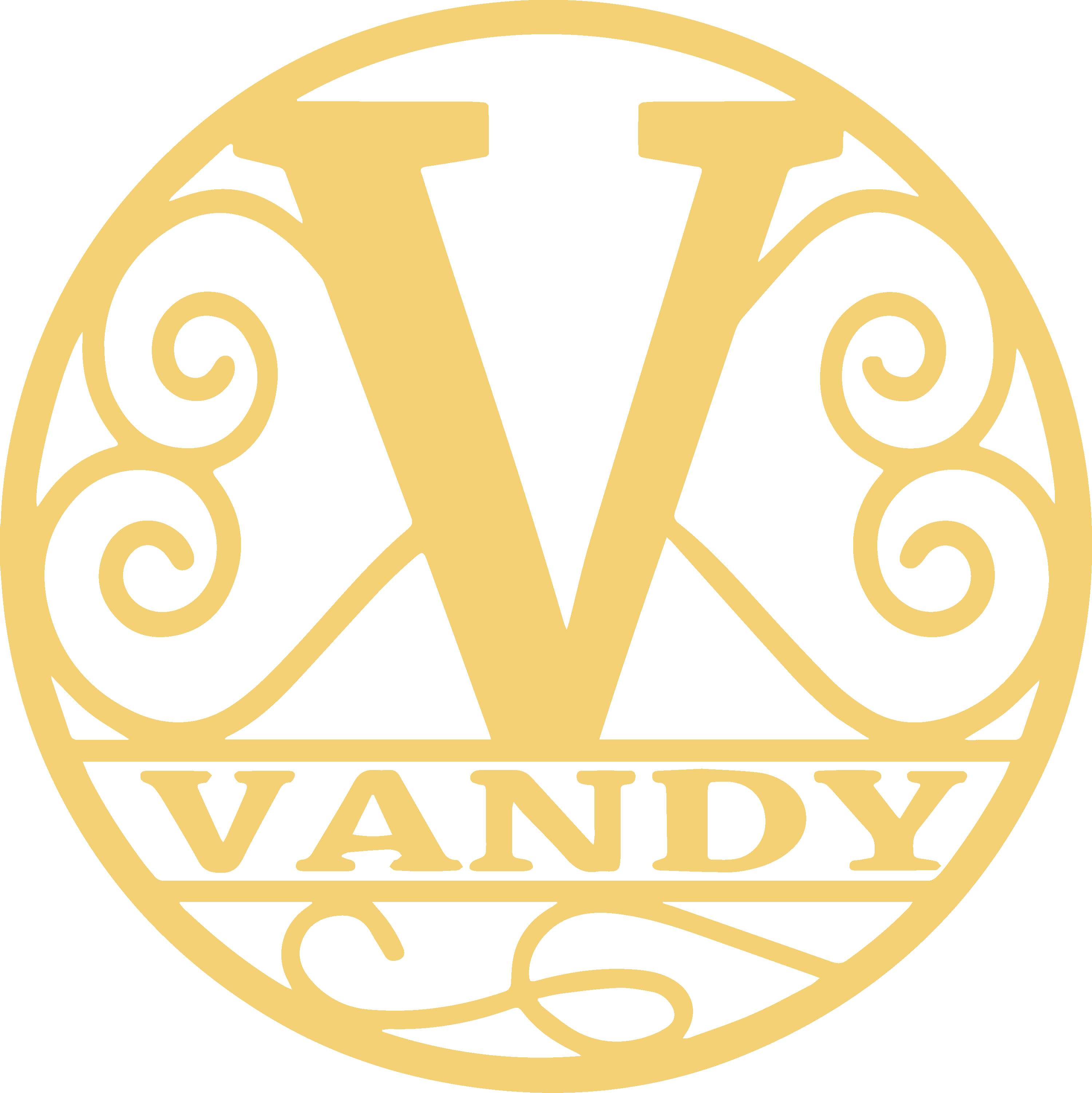 Vandy Crisps